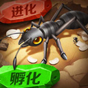 西域风云
